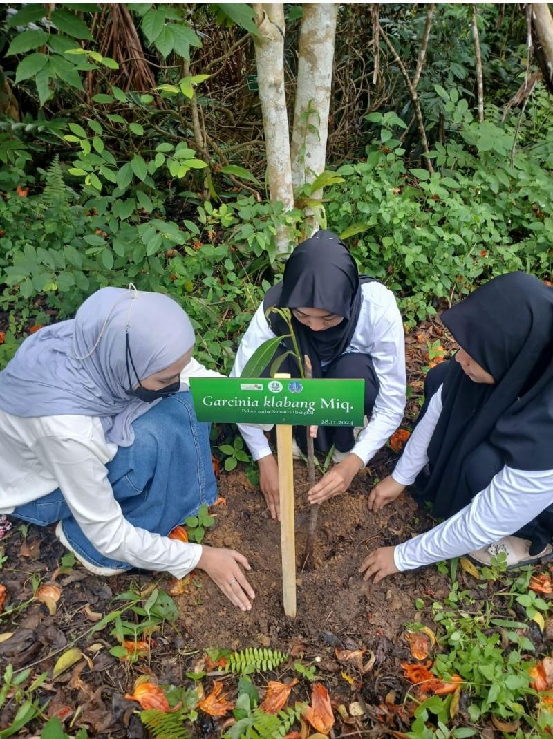 Lestarikan pohon native Bangka, Tim Gasinia Biologi Tanam Garcinia klabang di EduTourism Park UBB